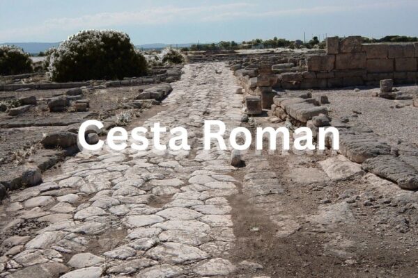 Cesta Roman: Everything you need to know