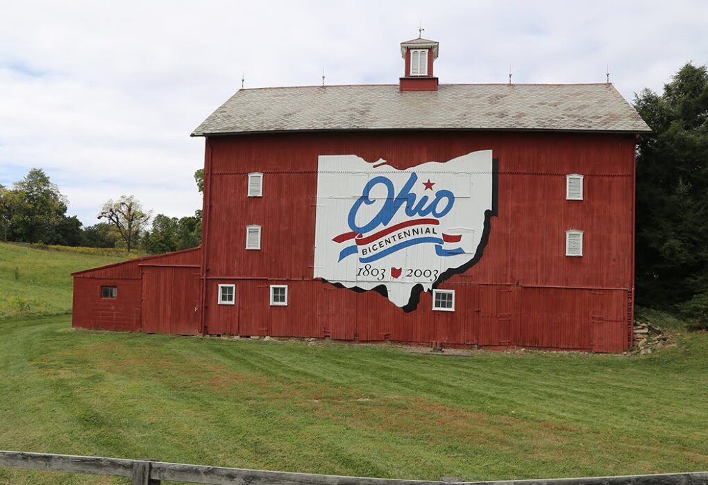 Lewis Center Ohio Champion Trees