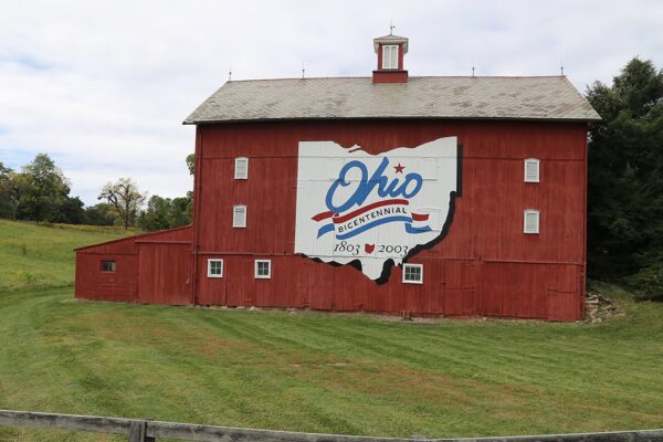 Lewis Center Ohio Champion Trees