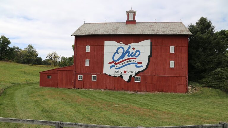 Lewis Center Ohio Champion Trees