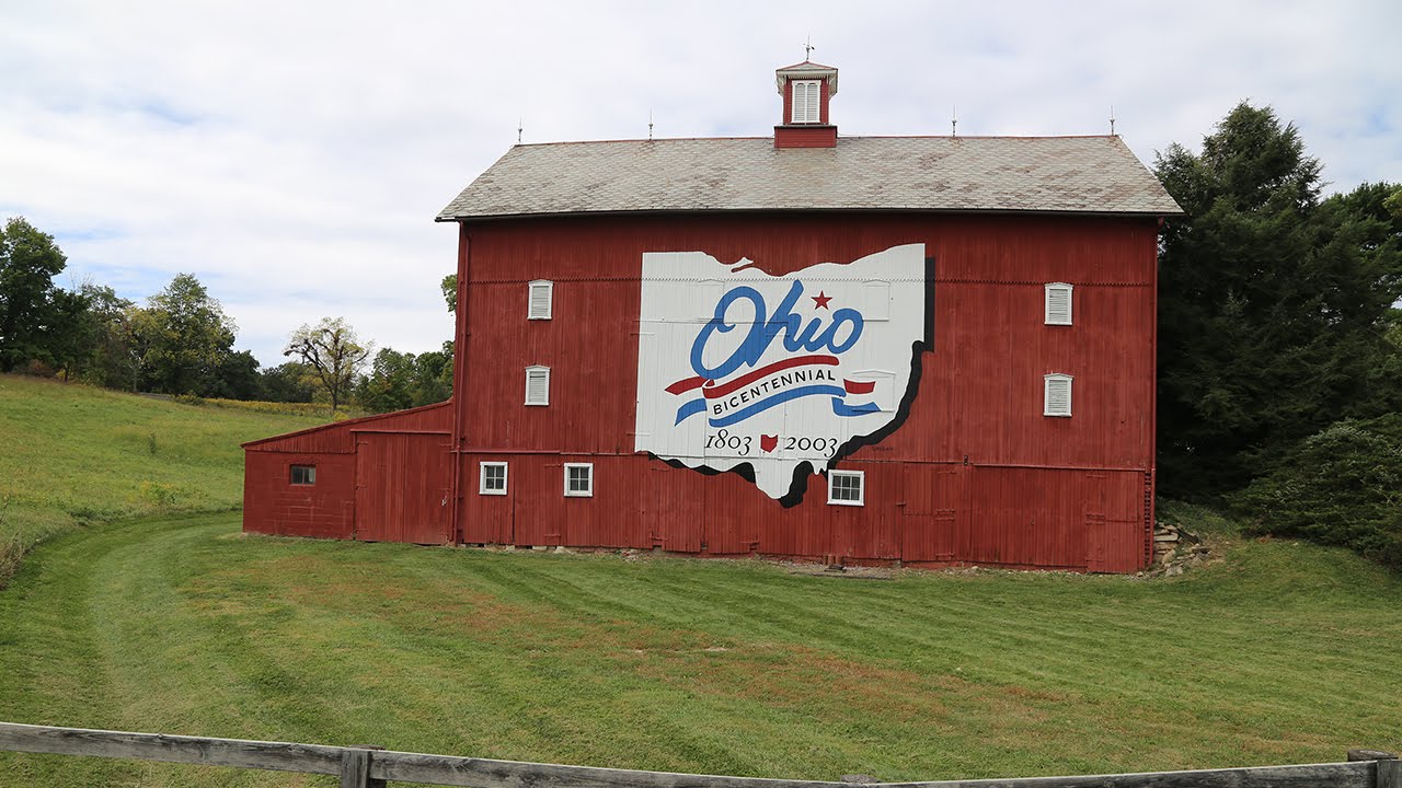 Lewis Center Ohio Champion Trees