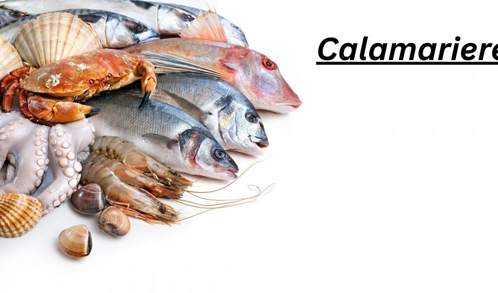 Calamariere Guide: 7 Powerful Facts About This Seafood Term