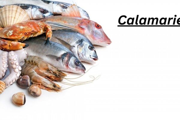 Calamariere Guide: 7 Powerful Facts About This Seafood Term
