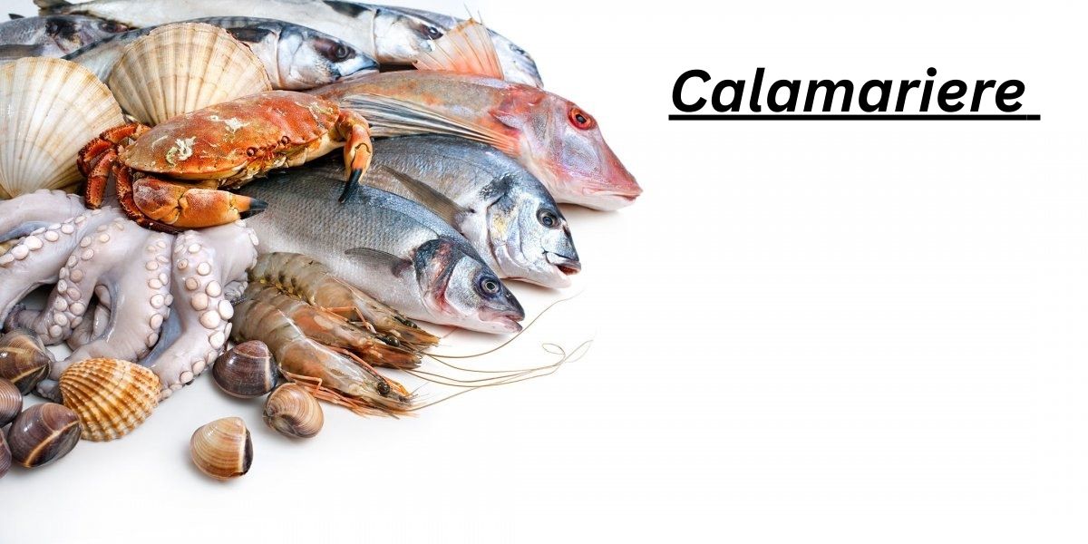 Calamariere Guide: 7 Powerful Facts About This Seafood Term