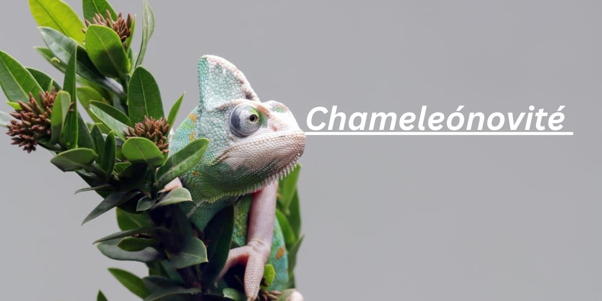 7 Amazing Facts About Chameleónovité You Must Know