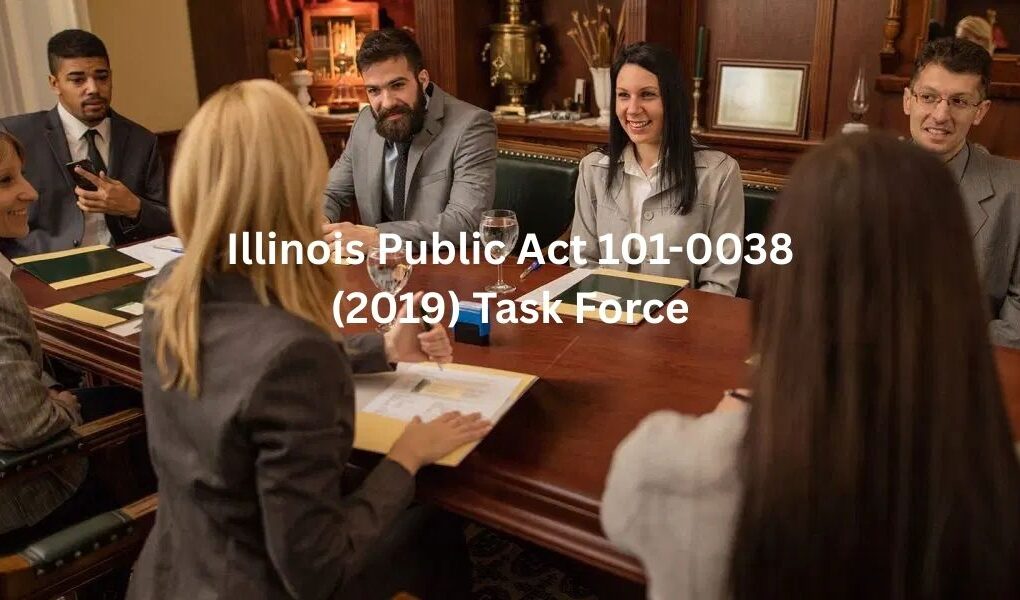 Illinois Public Act 101-0038 Task Force: 5 Key Insights