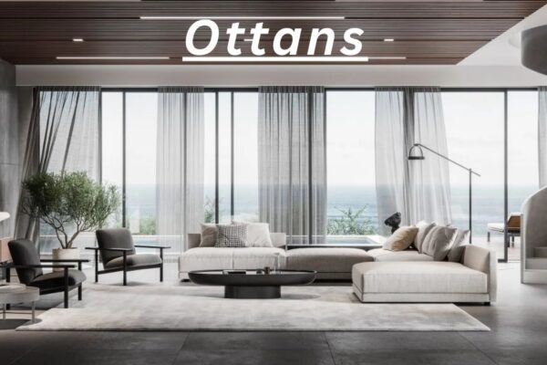 7 Powerful Insights About Ottans You Must Know