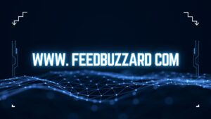 www. feedbuzzard com